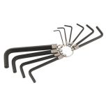 Premier Hex Key Set on Ring 10pc