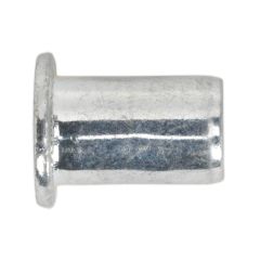 Regular Threaded Insert (Rivet Nut) M10 - Pack of 50