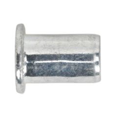 Regular Threaded Insert (Rivet Nut) M6 - Pack of 50
