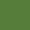 Forest Green Forest Green